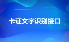 手寫(xiě)簽字OCR識(shí)別，手寫(xiě)OCR文字識(shí)別接口離線